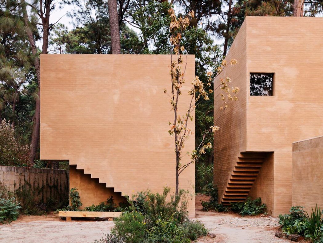 Entre Pinos by Taller Hector Barroso - 2