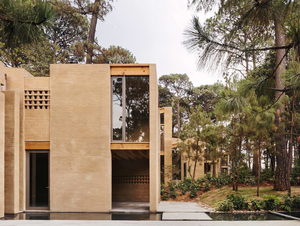 Entre Pinos by Taller Hector Barroso - 6