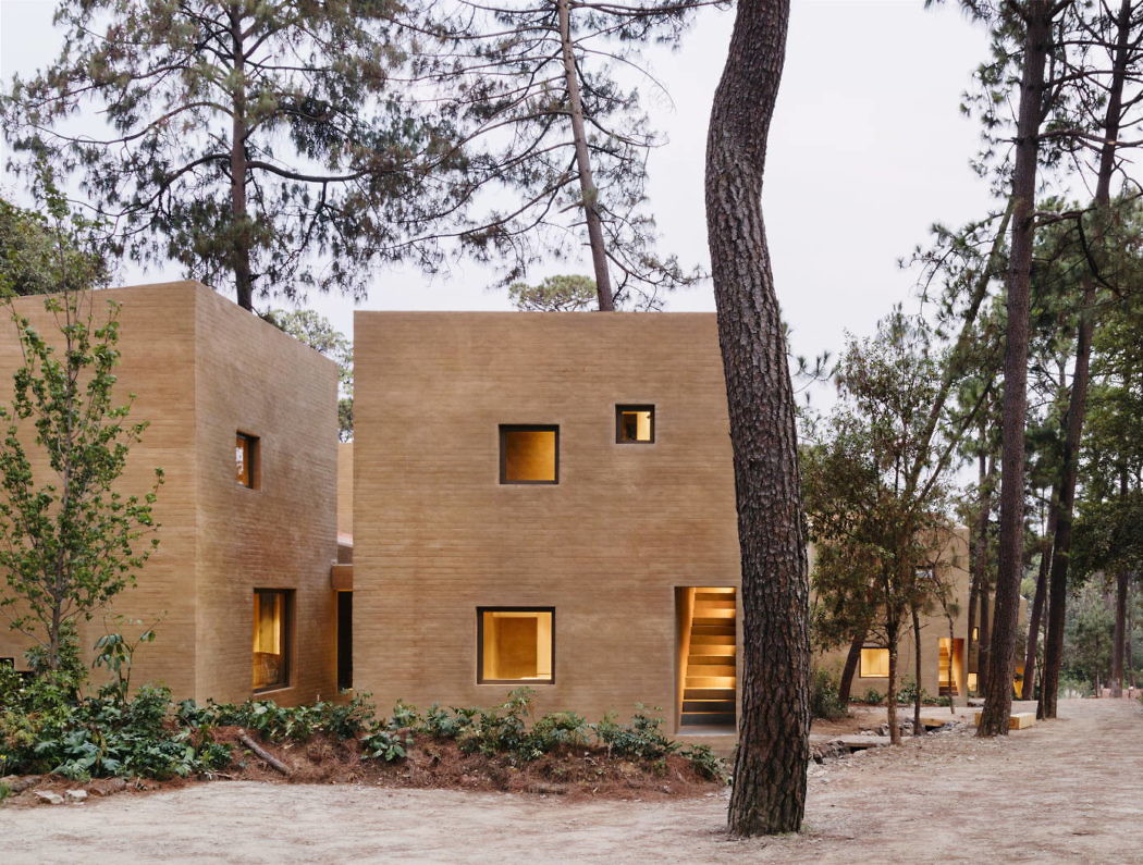 Entre Pinos by Taller Hector Barroso - 8