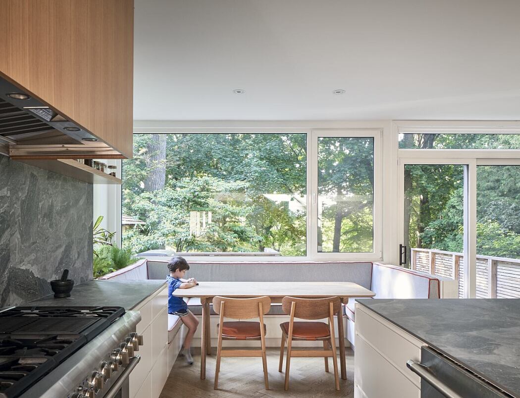 Baby Point Residence by Batay-Csorba Architects - 3