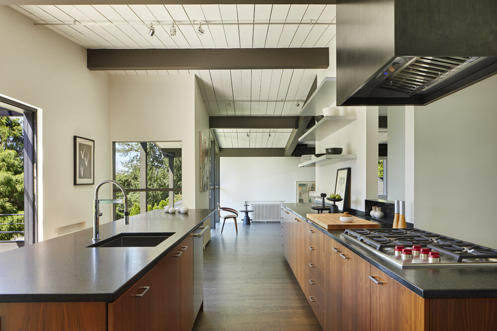 Mid-Century House Renovation by Rerucha Studio - 4