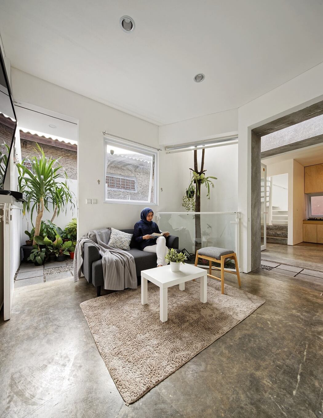 The Twins House by Delution Architect - 1