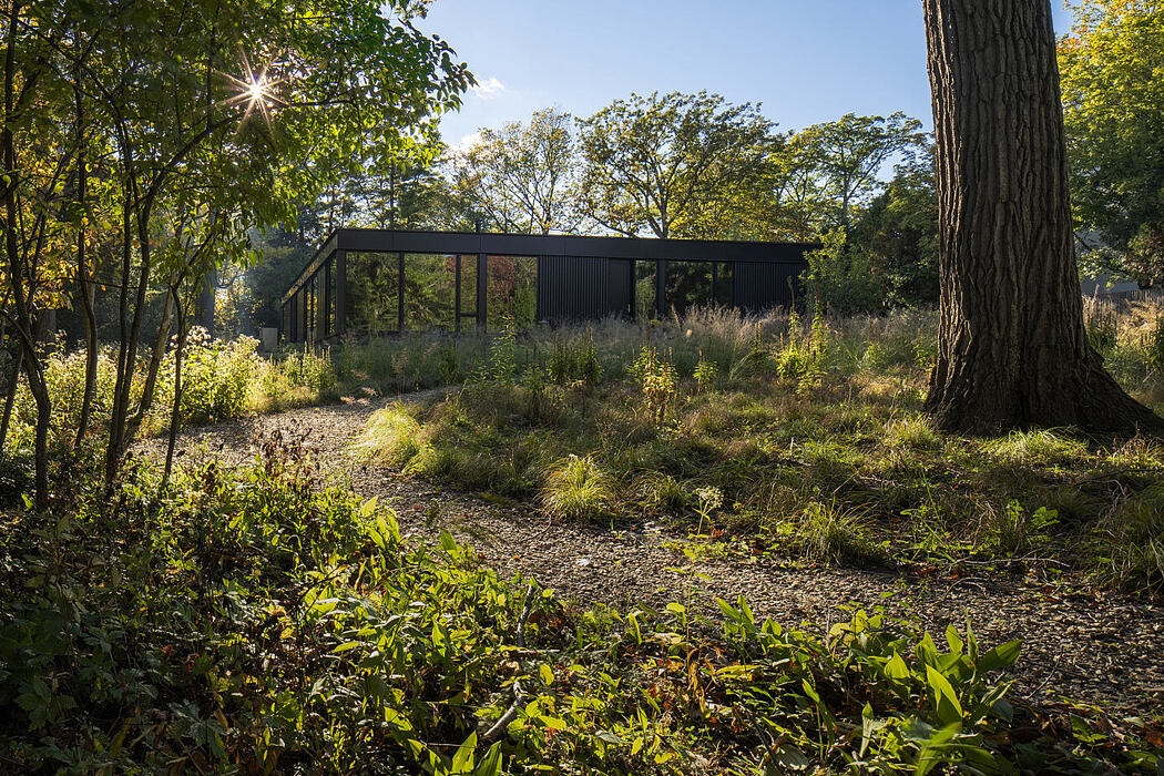 Ravine House by Wheeler Kearns Architects - 9