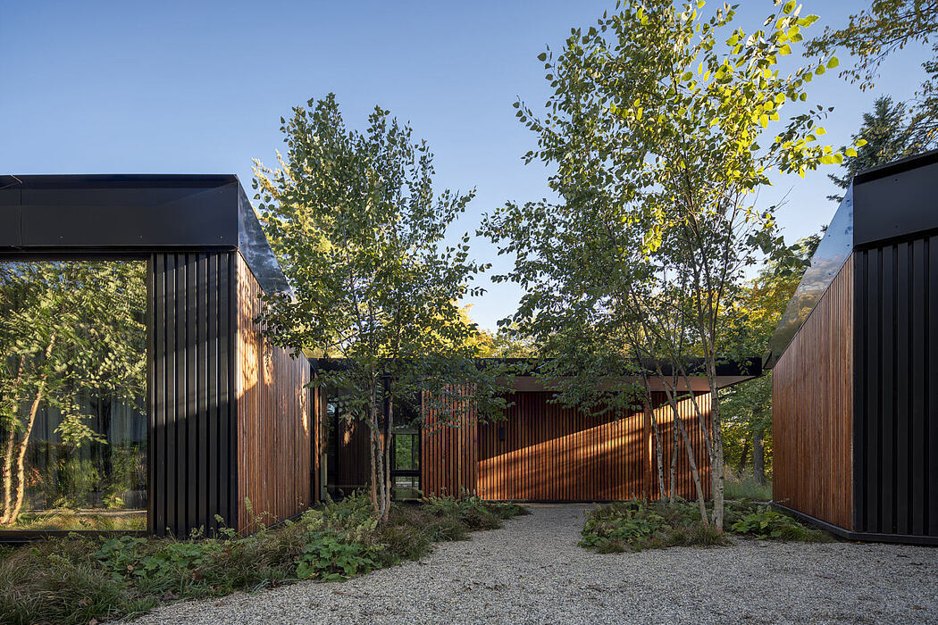 Ravine House by Wheeler Kearns Architects - 8
