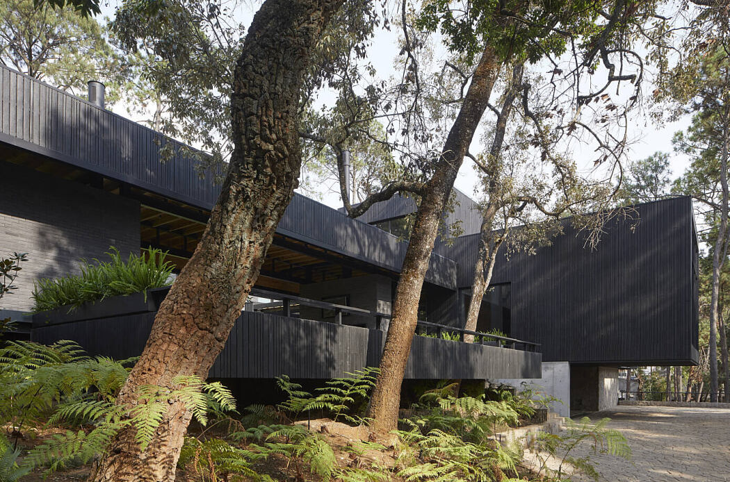 Casa Didox by Magaldi Studio - 10