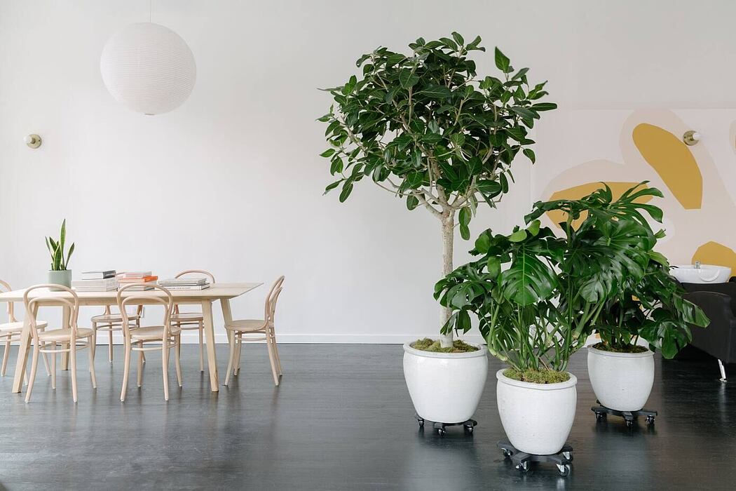 Hawthorne Chelsea by Bond - 4