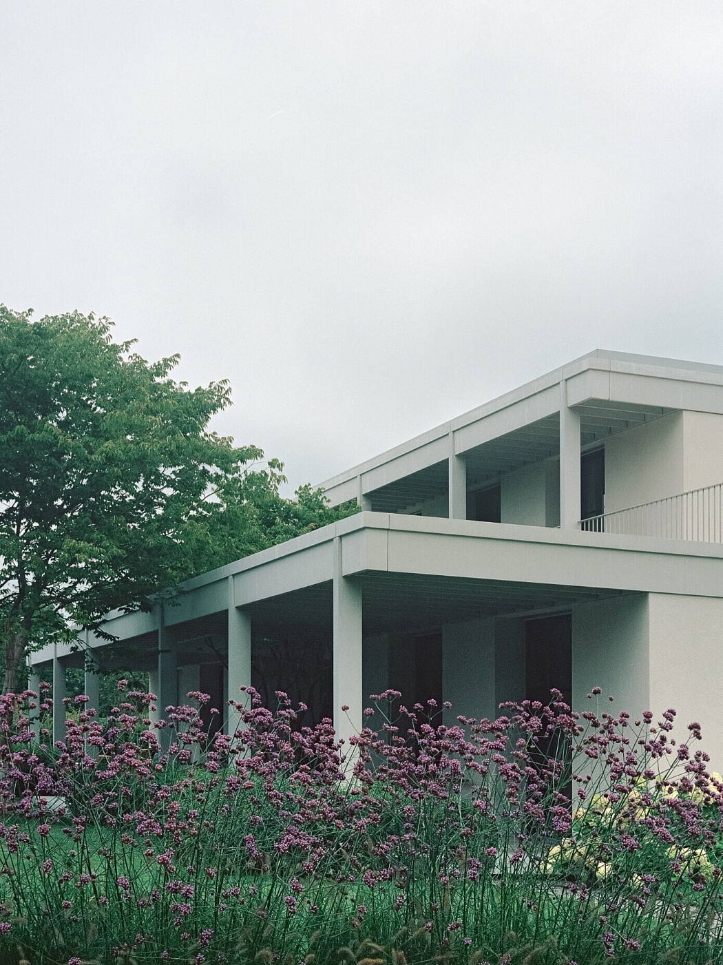 House at a Vineyard by Think Architecture - 12