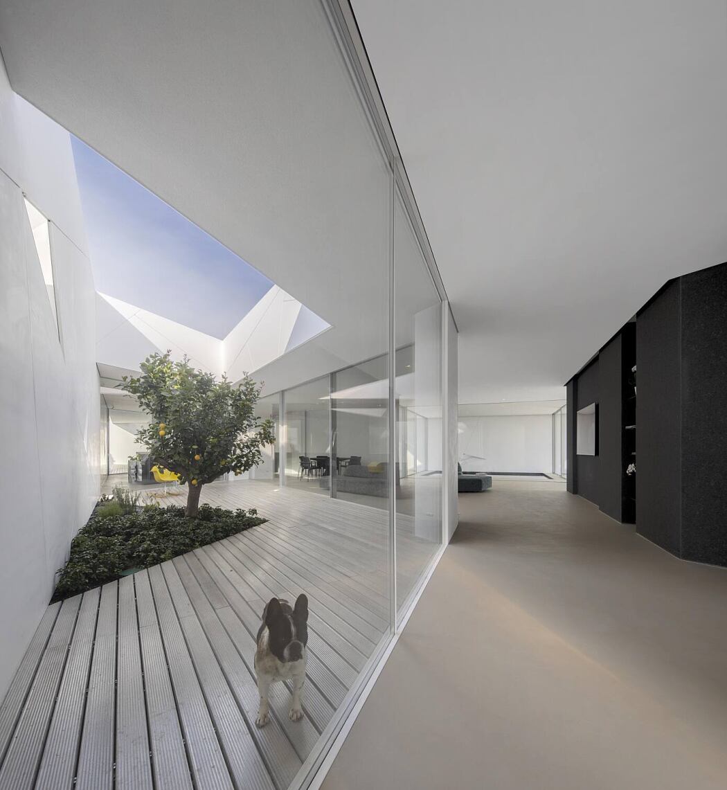 Diamond Tree by 3ndy Studio - 4