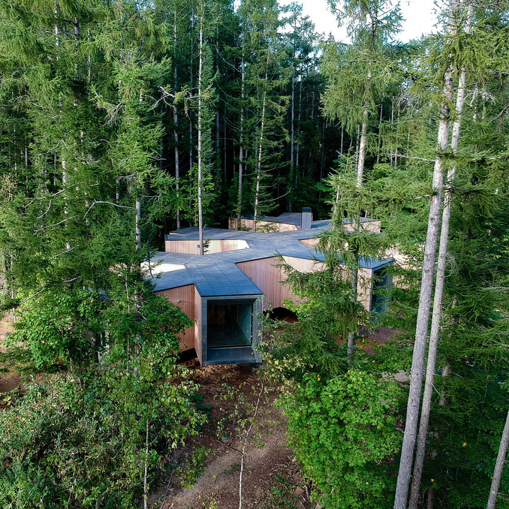 House in the Forest by Florian Busch Architects - 7