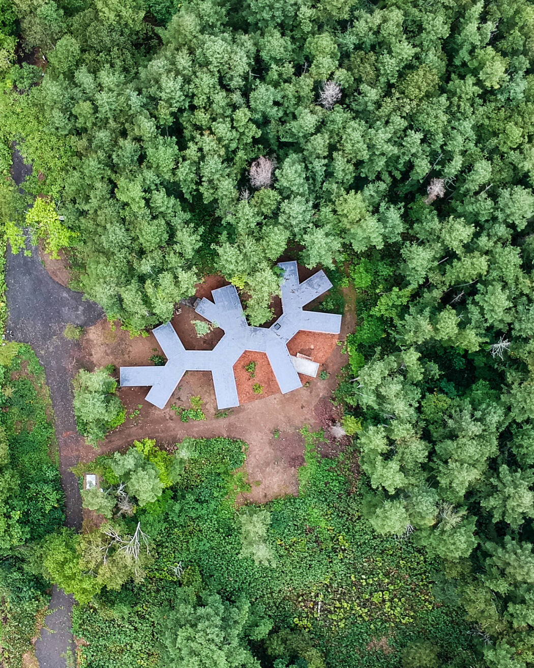 House in the Forest by Florian Busch Architects - 8