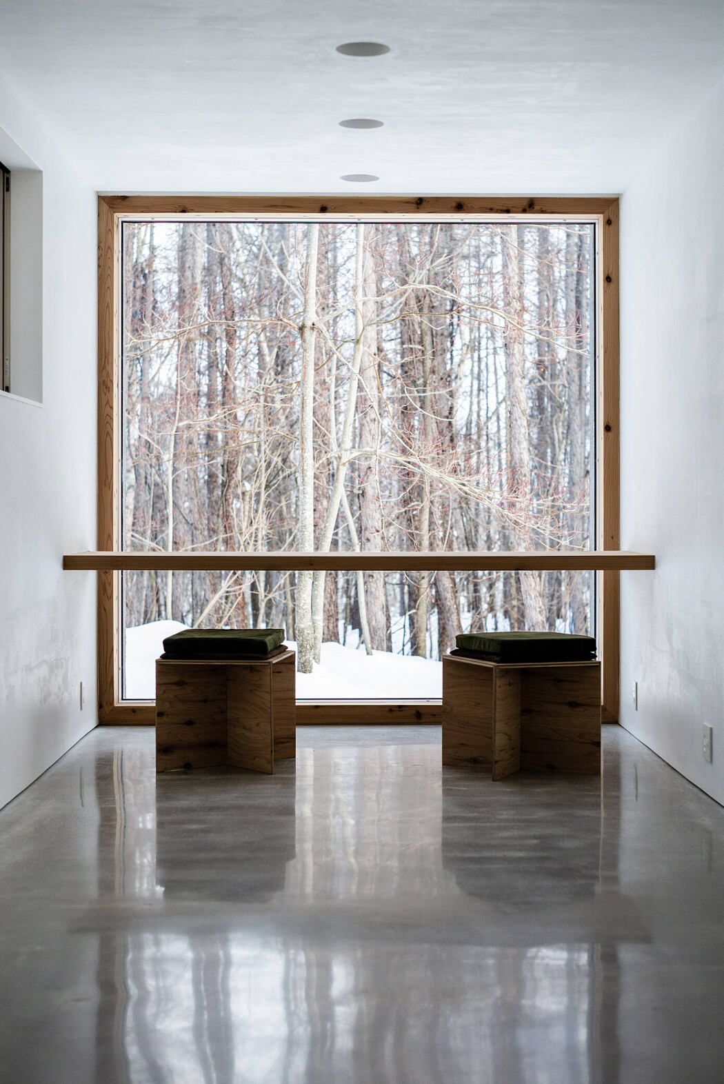 House in the Forest by Florian Busch Architects - 4