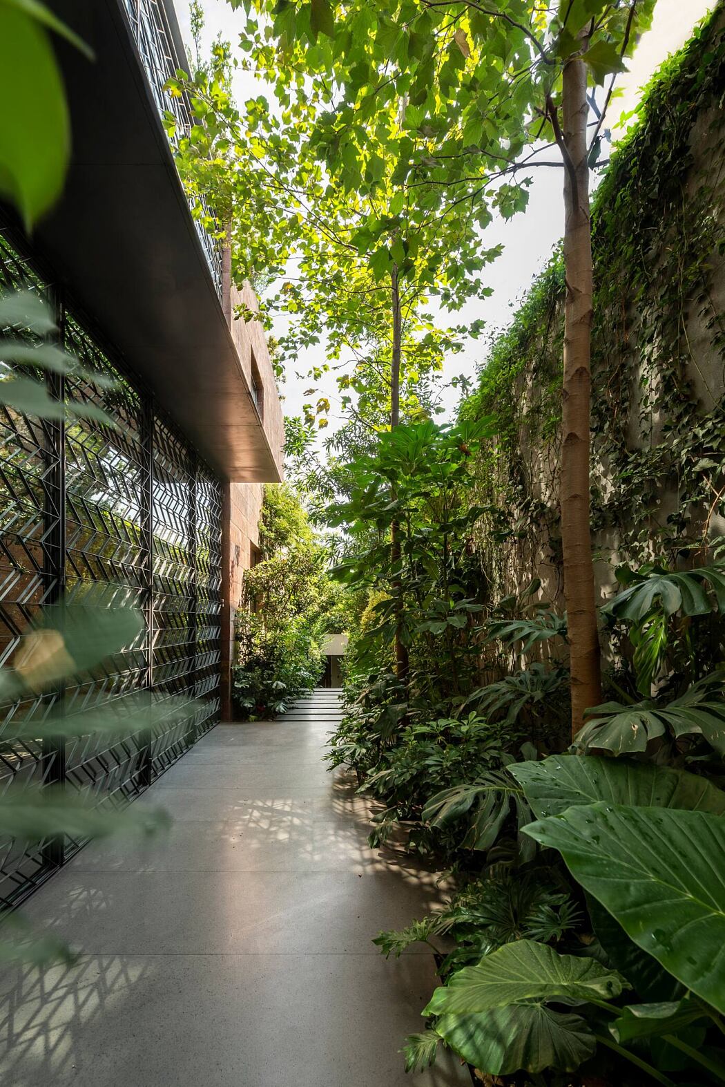 3 Patios House by Once Once Arquitectura - 15