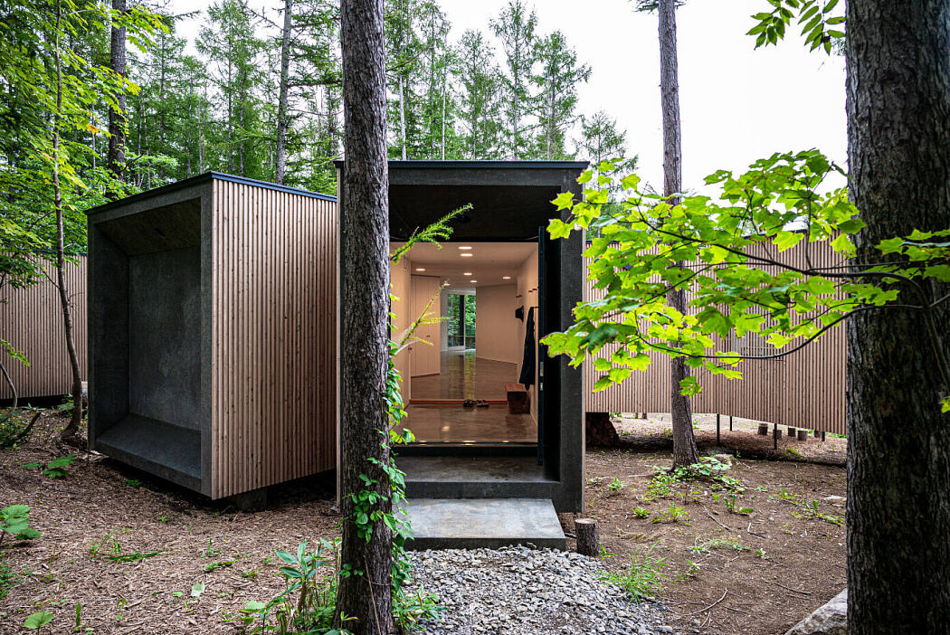 House in the Forest by Florian Busch Architects - 6