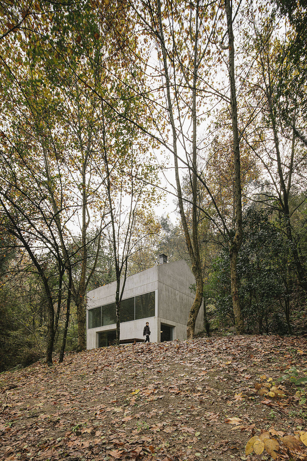 Casa na Caniçada by Carvalho Araújo - 7