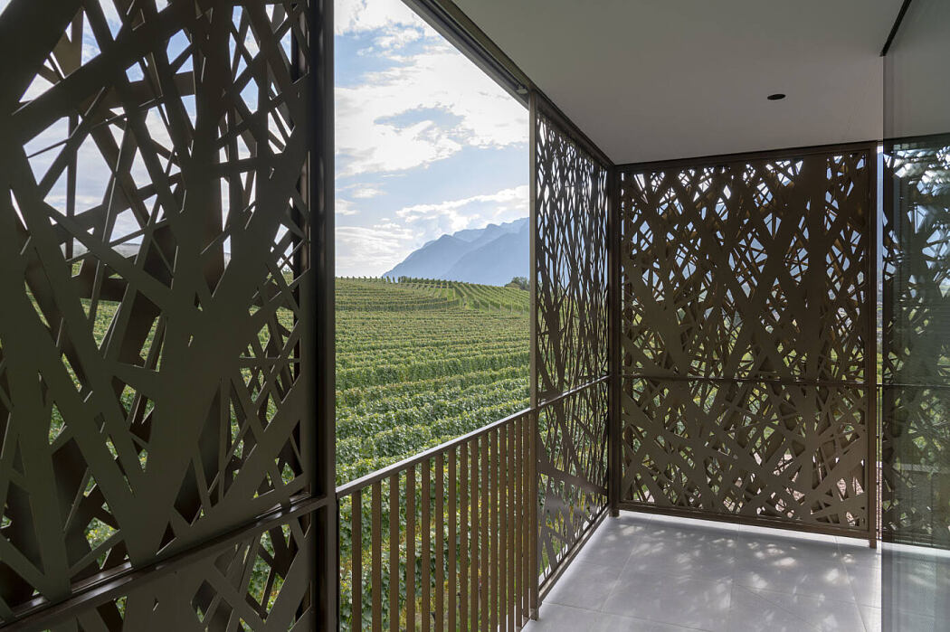 House P2 by Monovolume Architecture + Design - 5