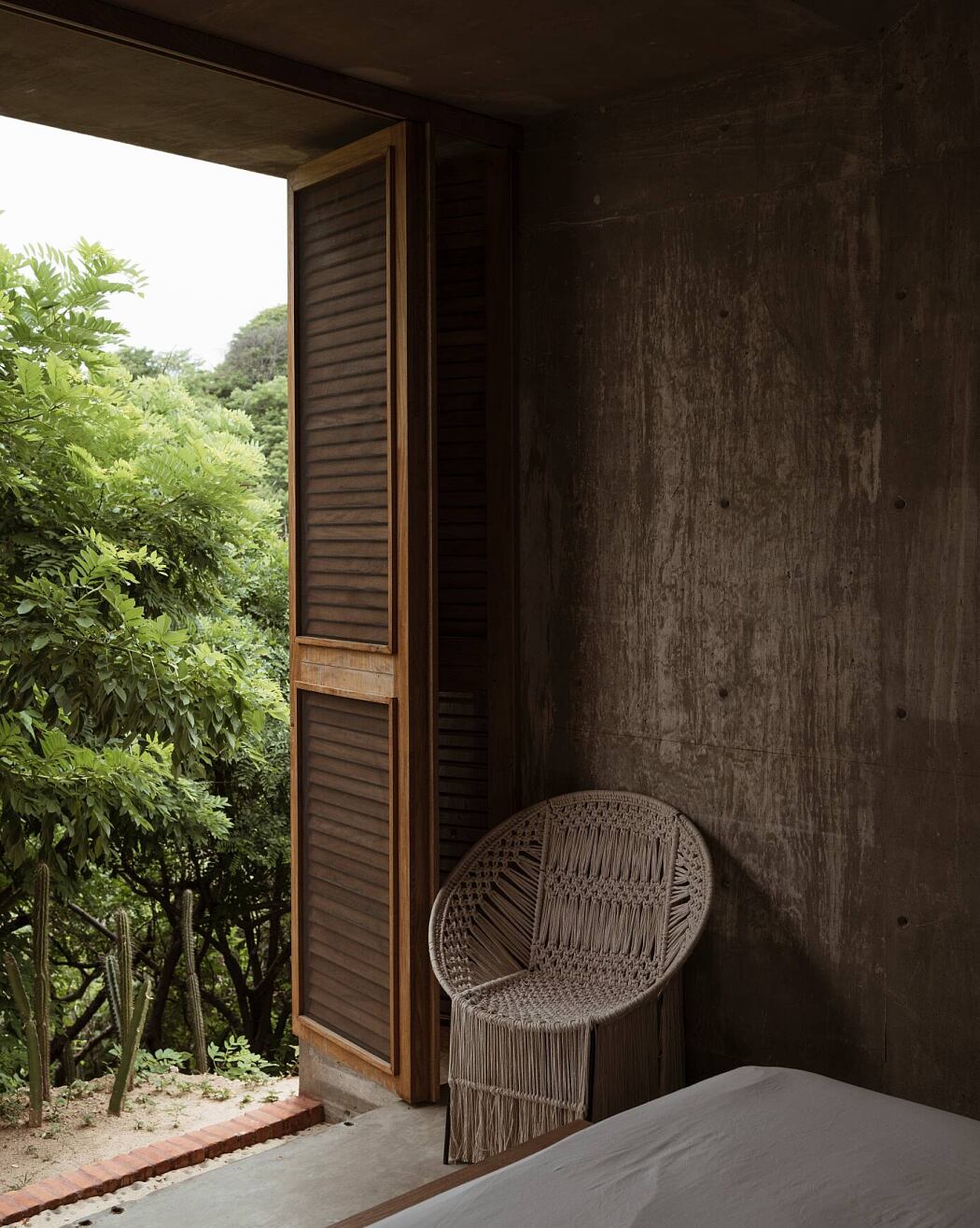 The Toad House by Espacio 18 Arquitectura - 7