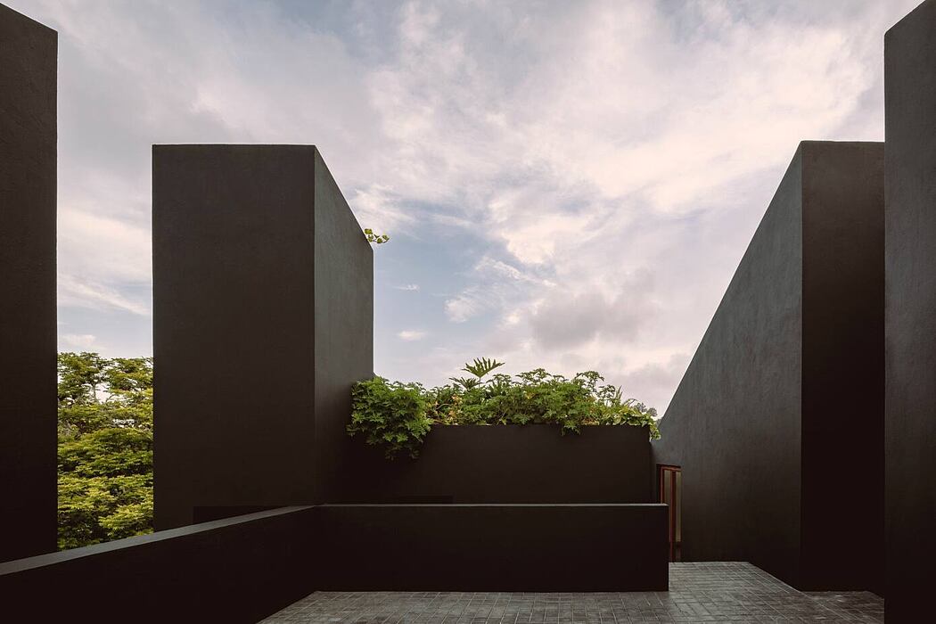 House in Xalapa by Lopez Gonzalez Studio - 9