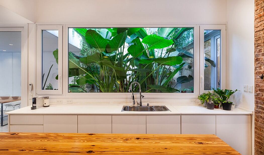 Casa Hormiga by Estudio PK - 3