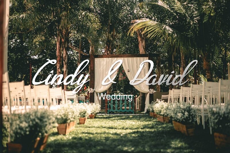 Font Sample