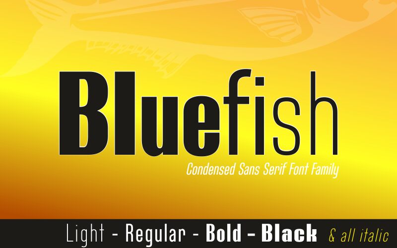 Bluefish Demo Bold Font