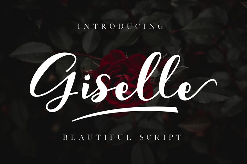 Font Sample