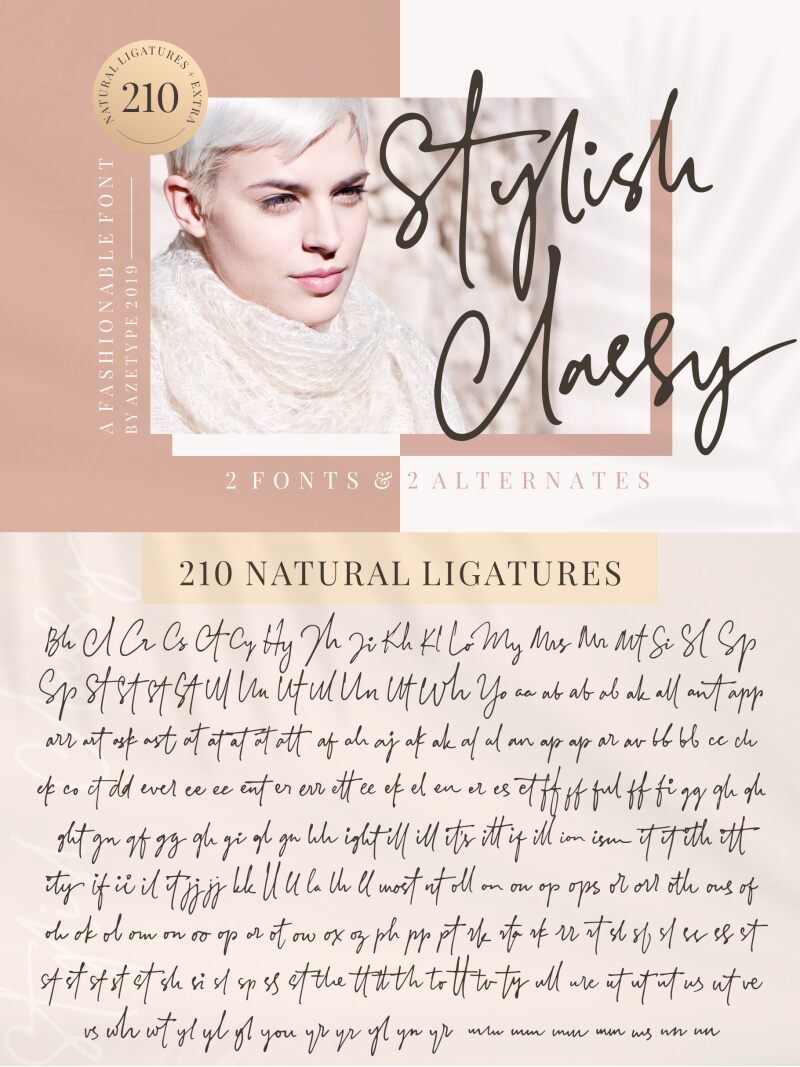 Stylish Classy Font Font