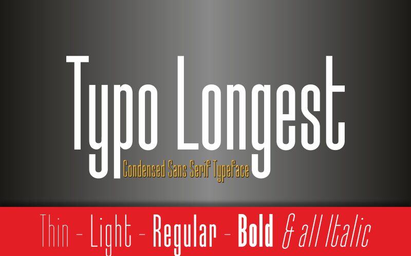 Typo Longest Demo Bold Font