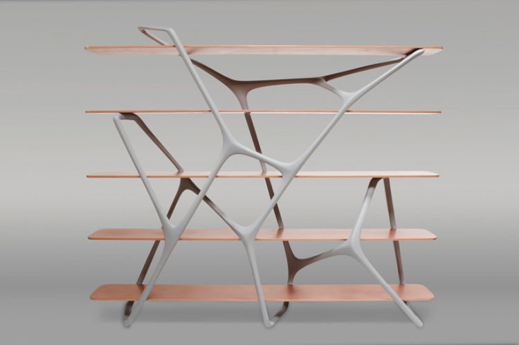Modern Naturoscopie Shelf by Noé Duchaufour-Lawrance