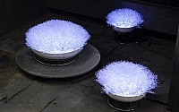 5-anemone-collection-olivia-daboville