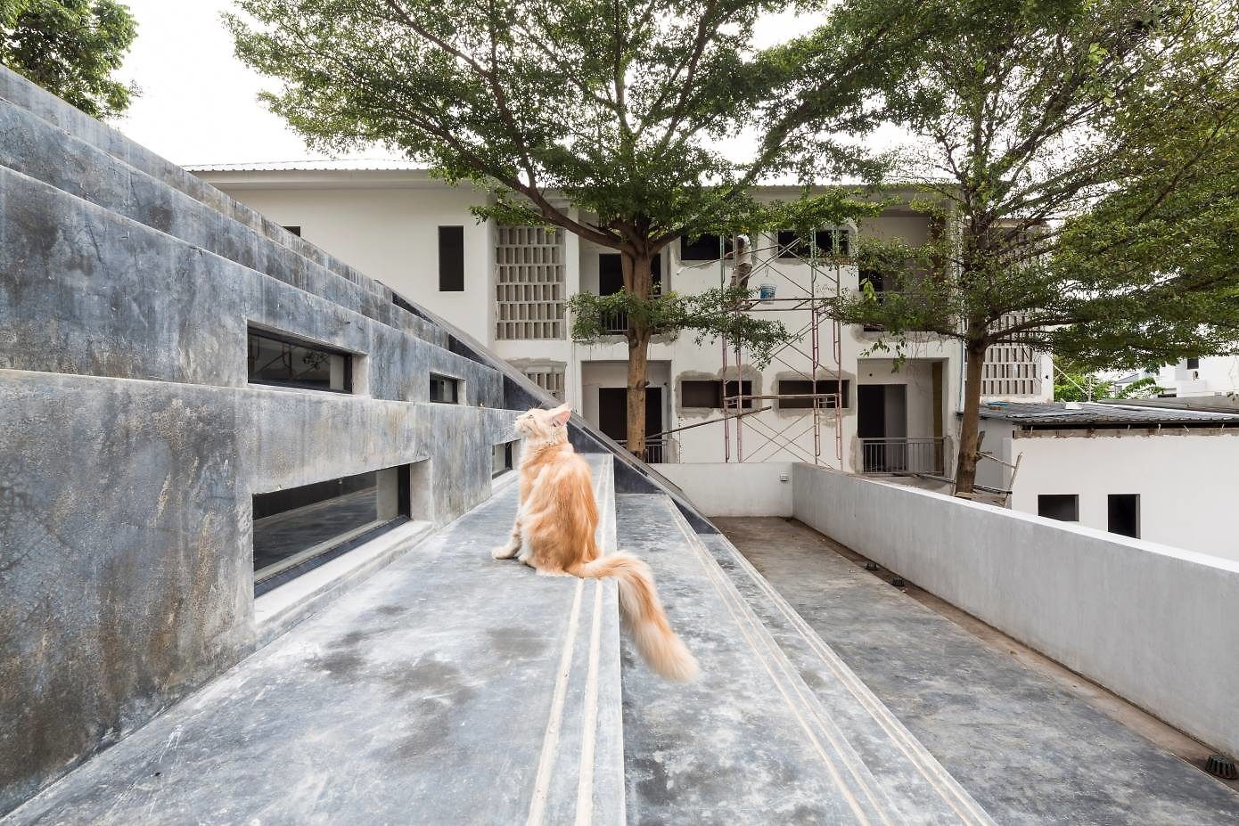 003-fuzzy-house-architects- | HomeAdore