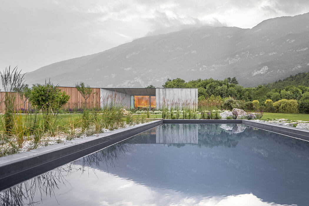 La Dolce Mela by Studio Raro