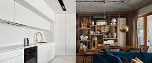 Geometry Apartment by Blackhaus