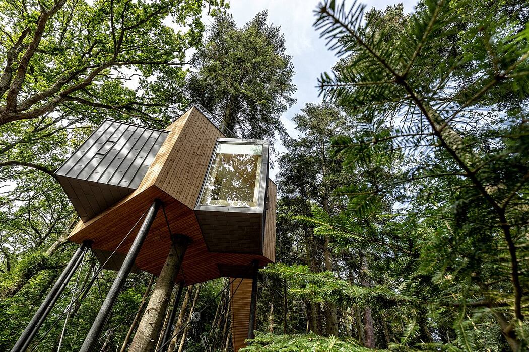 Lovtag Treetop Hotel by Sigurd Larsen
