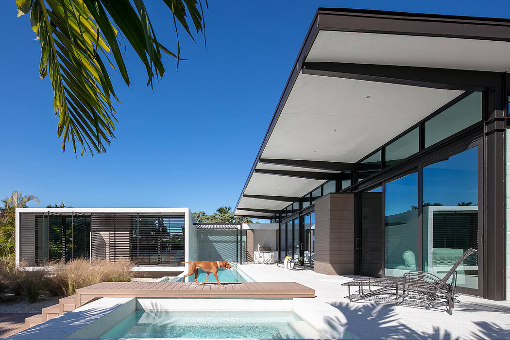 LS1 House by Hive Architects