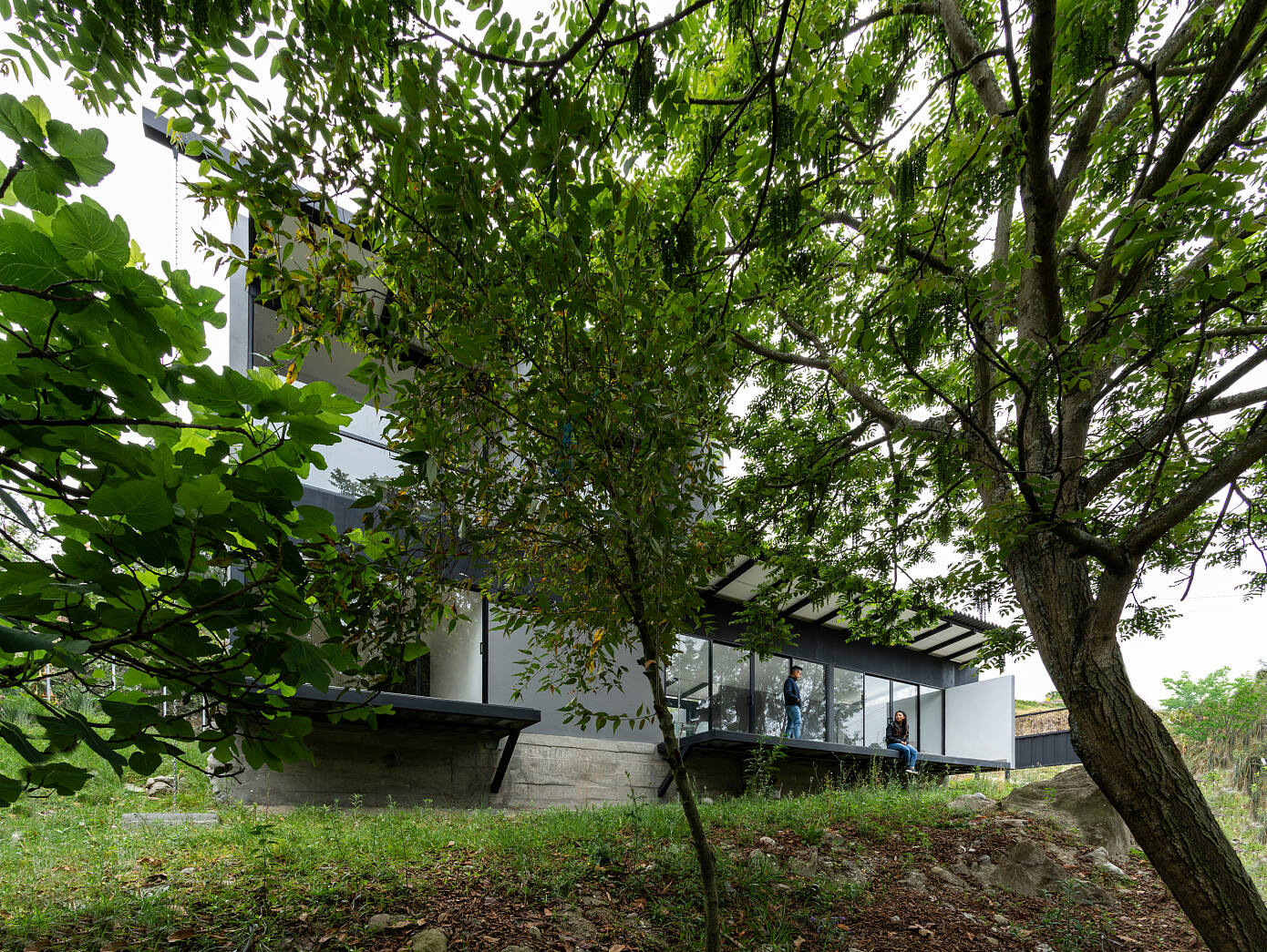 Branches and Rocks by Ruptura Morlaca Arquitectura